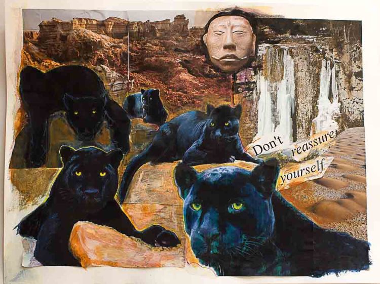 panther collage - brighter