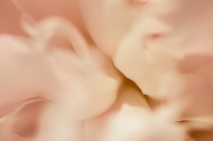 peony deep dive exp1