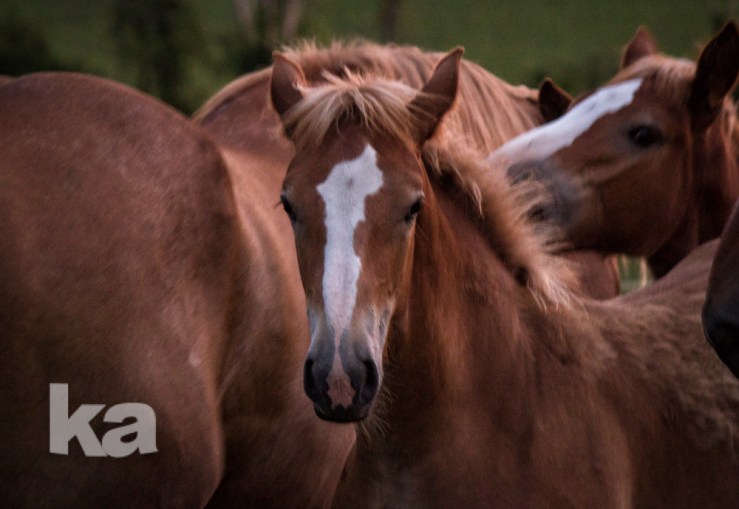 circling small w watermark