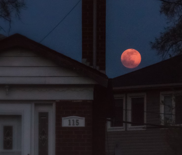 orange moon over bungalows