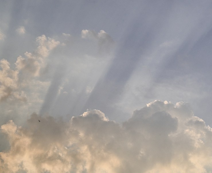 tiny seagull in big finger of god sky